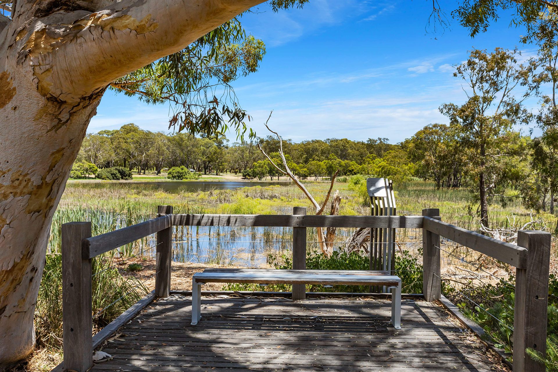 Bench overlooking a bushland wetland near Floreat
