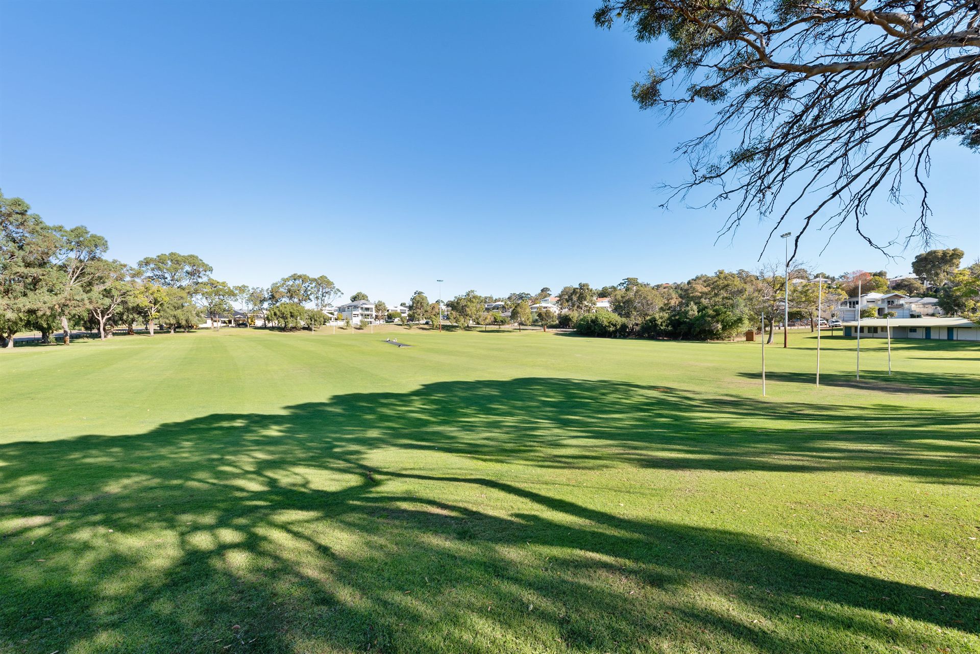 Open green sports oval framed by gum trees in Karrinyup